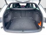 Škoda Octavia (2025) Sportline 2.0 TDI 110 kW DSG - náhled 30