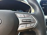 Hyundai Santa Fe 2.2 CRDI/142kW Luxury DCT 4x4 - náhled 31