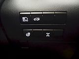 Lexus RX 400h (2022) 300 2.0T 4X4 LIMITED EDITION - náhled 20