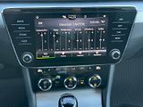 Škoda Superb (2020) Ambition Plus 2.0TDI 110kW DSG - náhled 13