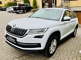 Škoda Kodiaq (2020) 2,0TDi 110kW DSG TAŽNÉ ČR - náhled 12