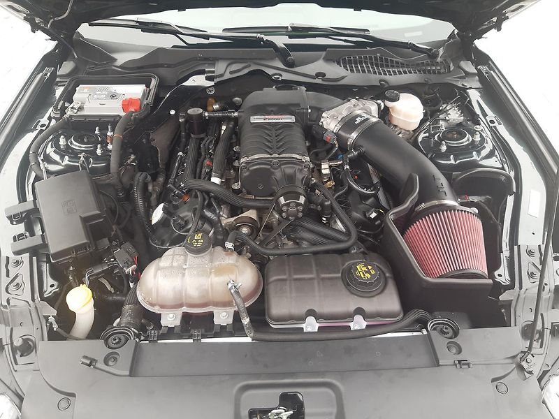 Ford Mustang (2015) 5,0Stage3 originál ROUSH 791PS - fotka 31 z 54