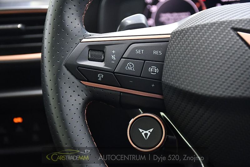 Cupra Formentor 2.0TSi VZ333 4Drive SENNHEISER - fotka 30 z 53
