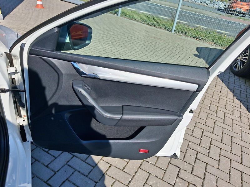 Škoda Octavia (2014) 2,0TDi 110kw ČR  DSG VYHŘ. SED - fotka 19 z 35