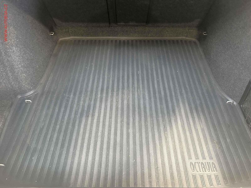 Škoda Octavia (2009) 1.4TSi, 2.maj,ČR, DSG, park - fotka 7 z 16