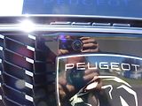 Peugeot 3008 (2026) BUSINESS Hybrid 145k e-DCS6 - náhled 41