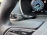 Hyundai Santa Fe 2,2 CRDi Style 4x4 DCT 142kW - náhled 38