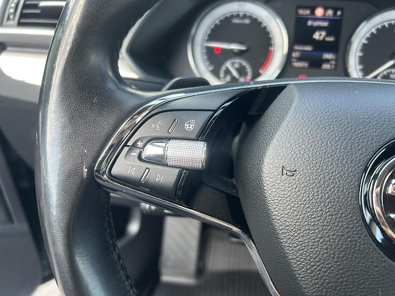Škoda Superb 2.0TDI 147kW DSG - fotka 15 z 25