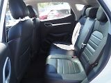 MG ZS (2023) 1.0T 82kW Elegance 1.Maj, Pano - náhled 12