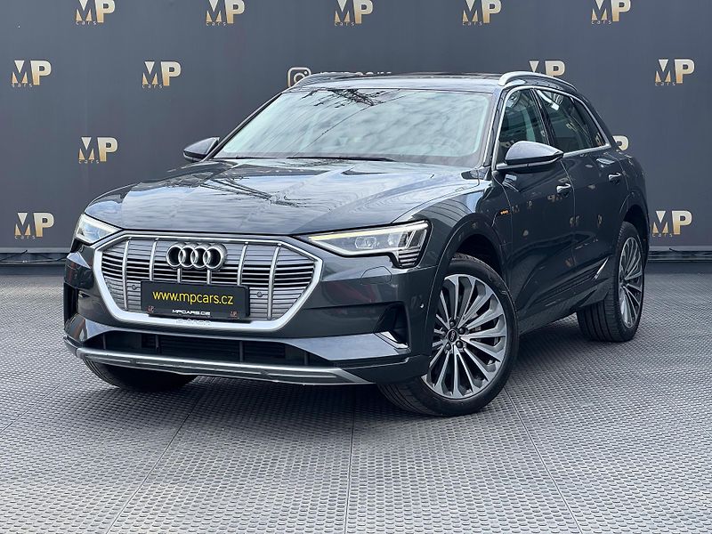 Audi e-tron (2020) Quattro 230kW Advanced, PANO - fotografie inzerátu