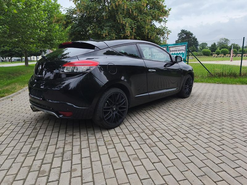 Renault Mégane 2.0 Tce 220 GT - fotka 11 z 28