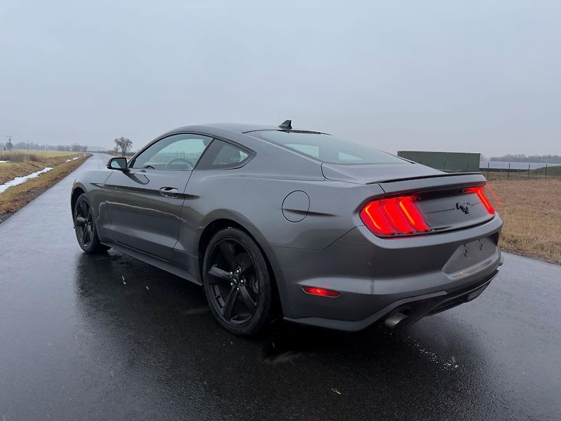 Ford Mustang (2021) 2.3 EcoBoost Manuál BMPR 2021  - fotka 3 z 25