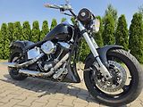 Harley-Davidson FLST Heritage Softail (2002) - náhled 2