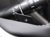 Subaru Forester 2,0 e-Boxer 110kW Comfort CZ - náhled 20