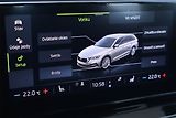 Škoda Octavia (2022) 1.0 TSI, Tempomat - náhled 20
