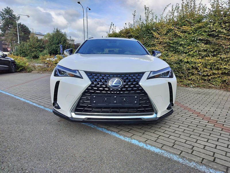 Lexus UX 250h black-white edition, kůže - fotka 2 z 25