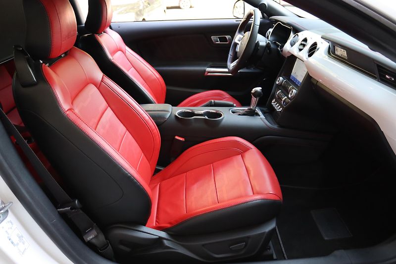 Ford Mustang SHELBY GT-H 5.0 V8 CONVERTIBLE - fotka 47 z 50