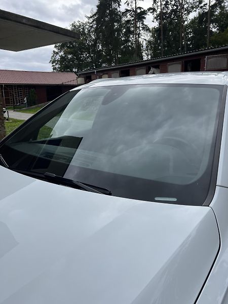 Audi Q7 (2017) Q7   s- line - fotka 7 z 25