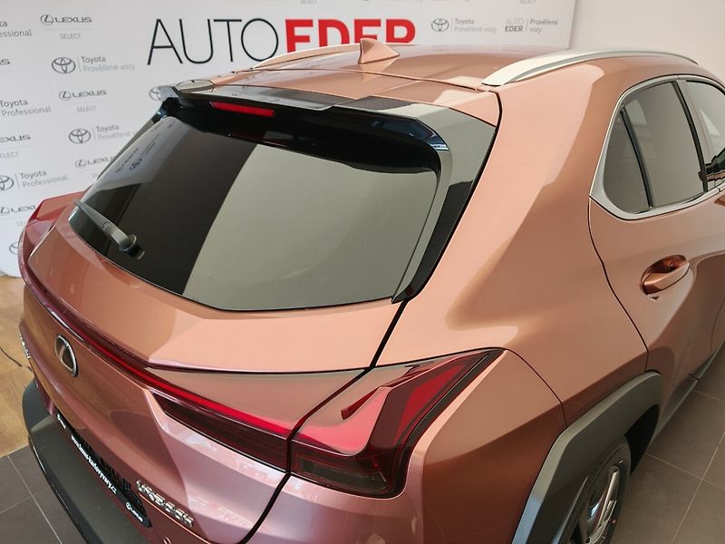 Lexus UX 300h F Sport Design 300H - fotka 10 z 44