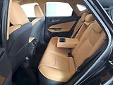 Lexus NX 350h (2024) 2.5HEV AWD 248k PRESTIGE PLUS - náhled 7