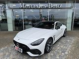 Mercedes-Benz AMG GT 63 4M+ Pro - náhled 1