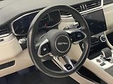 Jaguar F-Pace D165 S AWD AUT CZ - náhled 18