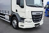 DAF LF (2019) 290 / E 6 / FIRANKA + WINDA /  - náhled 20