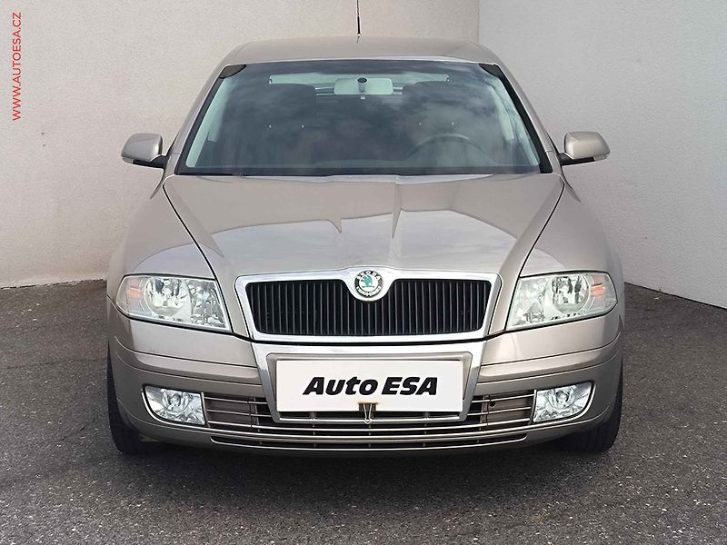Škoda Octavia (2006) 1.9TDi, ČR, Výhř.sed. - fotka 2 z 17