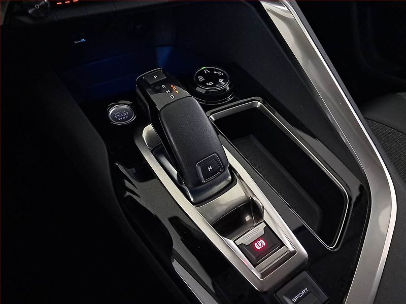 Peugeot 3008 (2020) 1.5 BlueHDi, Automat - fotka 13 z 19