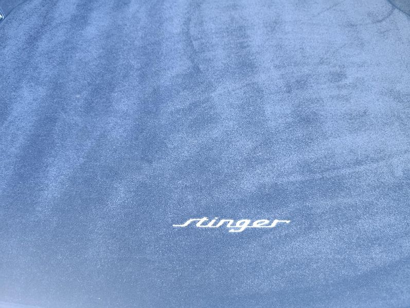 Kia Stinger (2021) 3.3. 269KW čr 1. Majitel - fotka 8 z 15