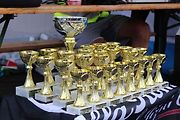 Nultý ročník srazu vozů Alfa Romeo v Jihočeském kraji se uskutečnil v sobotu 29. července na letišti v Jindřichově Hradci.