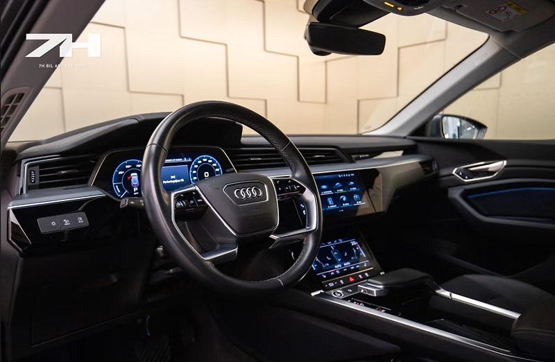 Audi Q8 e-tron 50 Q Kamera Tažné Vzduch LED - fotka 9 z 21