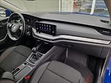 Škoda Octavia 2.0 TDI, původ ČR, 1.Majitel - náhled 13
