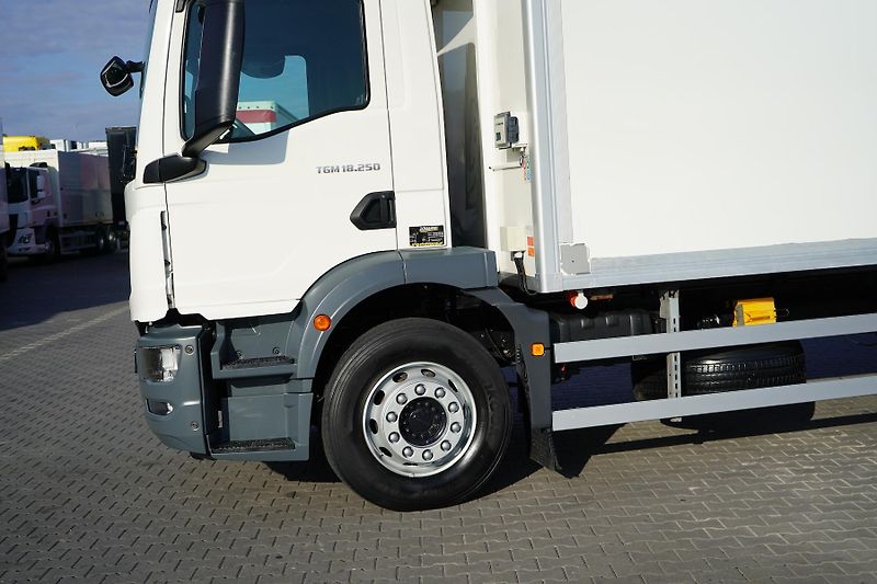 MAN TGM (2021) 18.250 / ACC / EURO 6 / CHŁODN - fotka 24 z 44