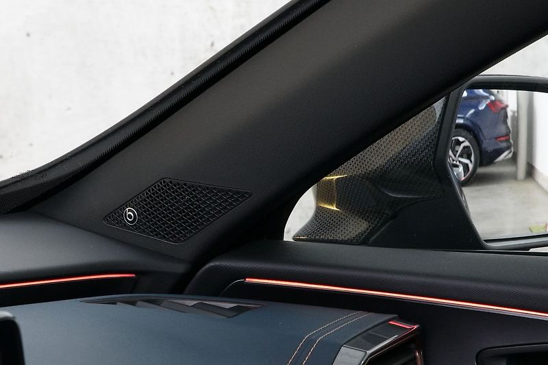 Cupra Formentor 2.0TDI 110kW 4x4 DSG DCC Webas - fotka 19 z 39