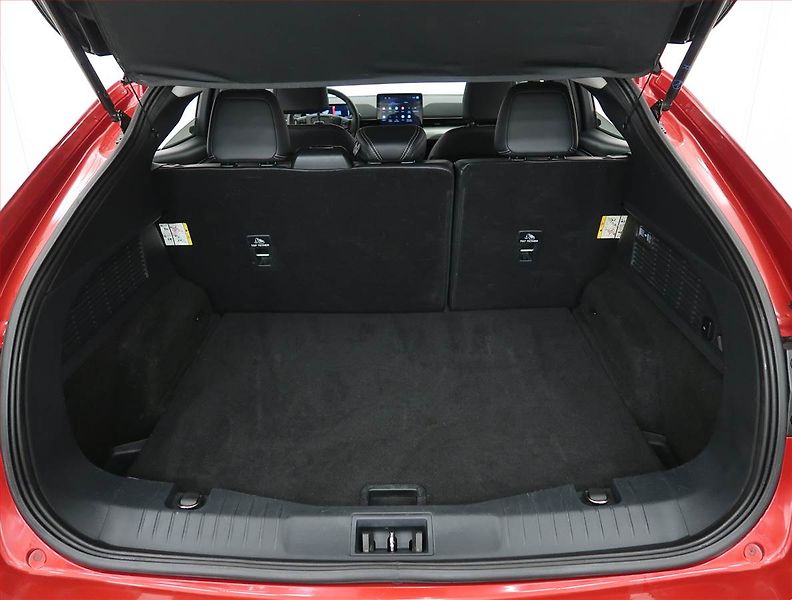 Ford Mustang Mach-E (2021) Standard Range RWD, SoH 94% - fotka 14 z 30