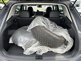 Volkswagen Tiguan 2,0TDI DSG LIFE 110 kW - náhled 19
