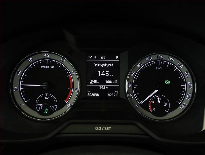 Škoda Octavia (2019) 1.5 TSI G-TEC, Automat, Kůže - fotka 9 z 20