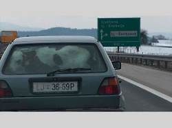 Nejvtipněji naložené vozy na silnicích. Nákladem je vše, co si zamanete.