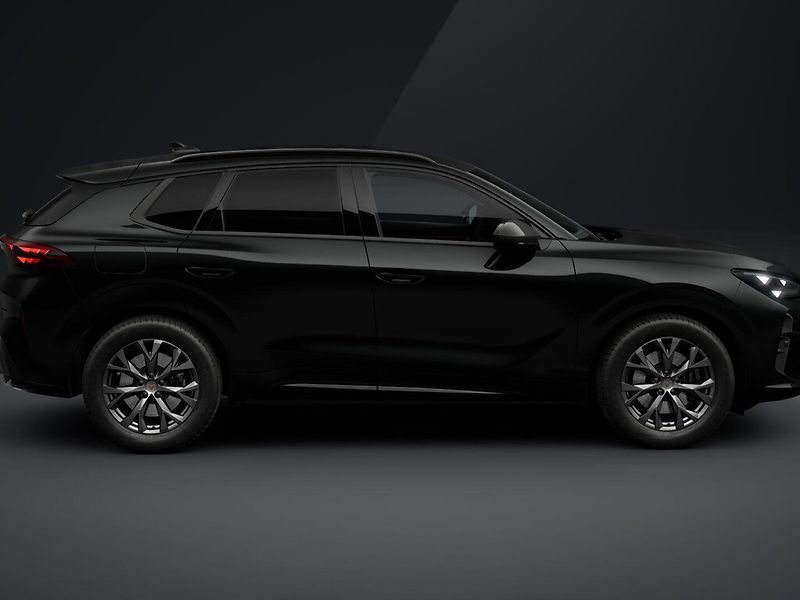 Cupra Terramar (2026) 2.0TSI 150kW DSG 4WD - fotka 4 z 6