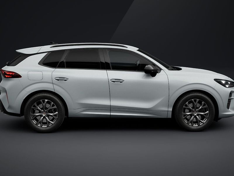 Cupra Terramar (2026) 2.0TSI 150kW DSG 4WD - fotka 10 z 12