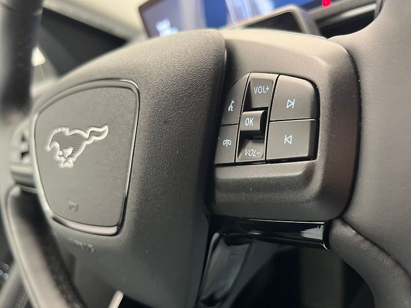 Ford Mustang Mach-E SoH 94,5 %, po servisní prohlí - fotka 19 z 68
