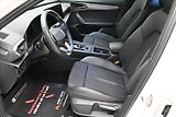 Cupra Formentor 2,0 TDI 110kW DSG 4x4 Záruka a - náhled 13