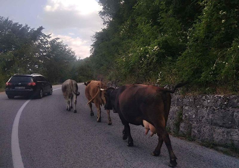 Roadtrip na Balkán: Škoda Enyaq dojela až pod skokanské můstky v Bosně a Hercegovině. A nejen tam