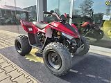 Linhai ATV 100 LH (2026) ATV 110 - náhled 56