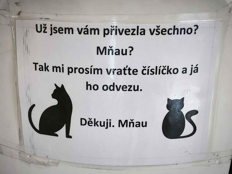 V Bistru Bonfood vládnou kočičí roboti.