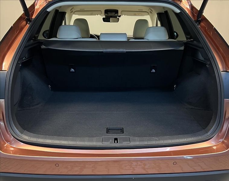 Lexus RX 450h plus 450H+ 2,5 PHEV EXECUTIVE - fotka 9 z 18