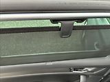 Škoda Kodiaq 2,0 TDI TAŽNÉ KEYLESS KAMERA - náhled 13