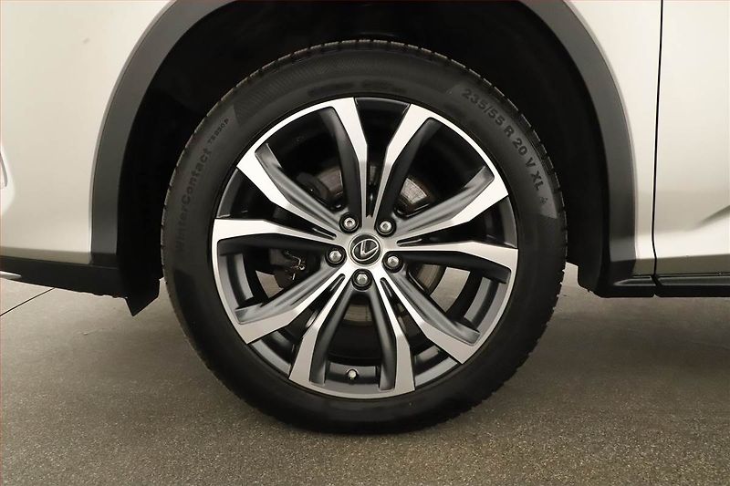 Lexus RX 400h (2023) 300 AWD - fotka 20 z 20