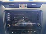 Škoda Octavia 2,0   TDI 110kW,DSG,SOLEIL,1.M - náhled 17